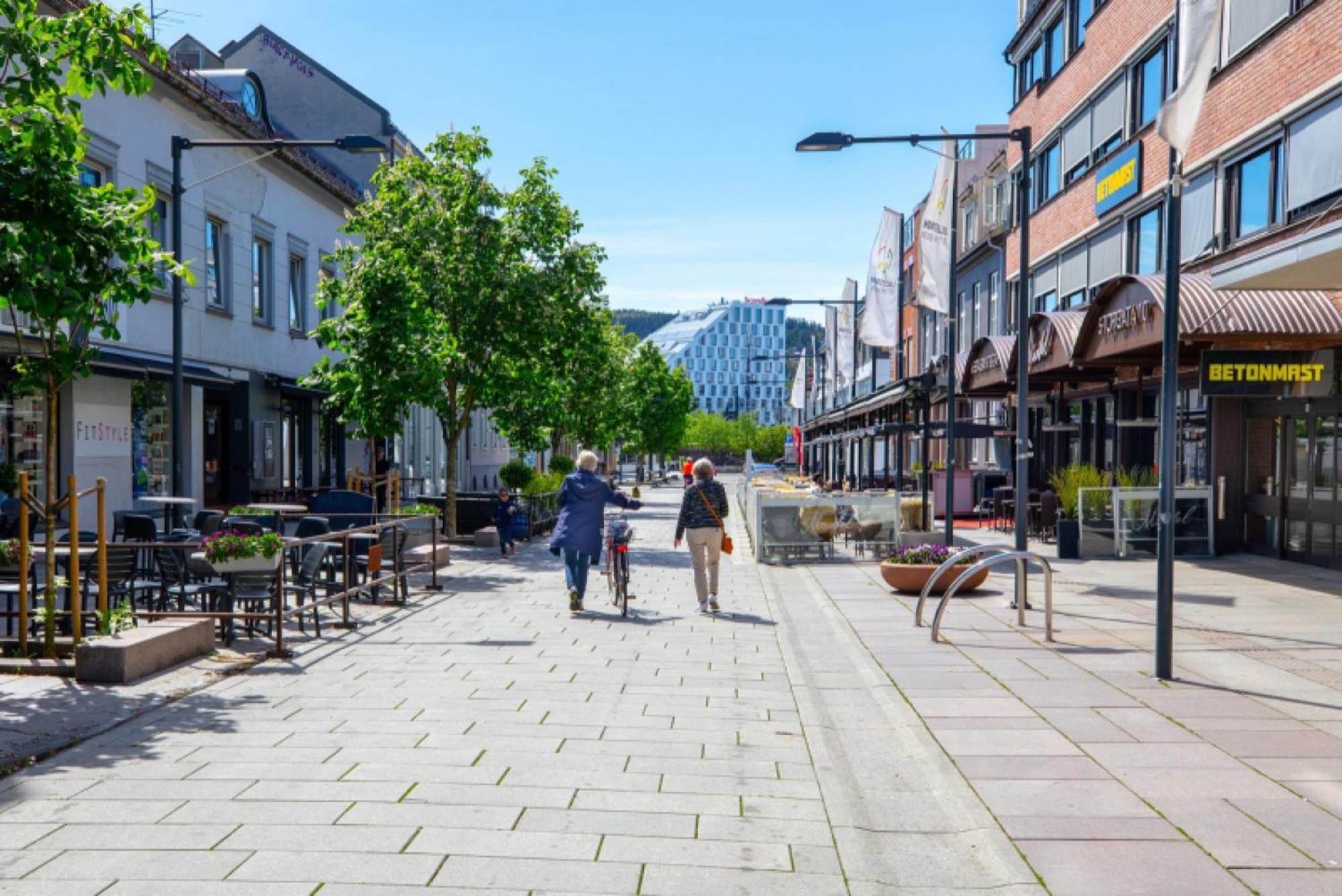 Km Rentals - Lillestrom City Exterior foto